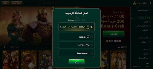 تعرف على كيفية إنشاء حساب في كازينو Casinia بخطوات بسيطة وسريعة خطوات التسجيل في كازينو Casinia
